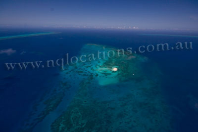 IMG_7986.jpg